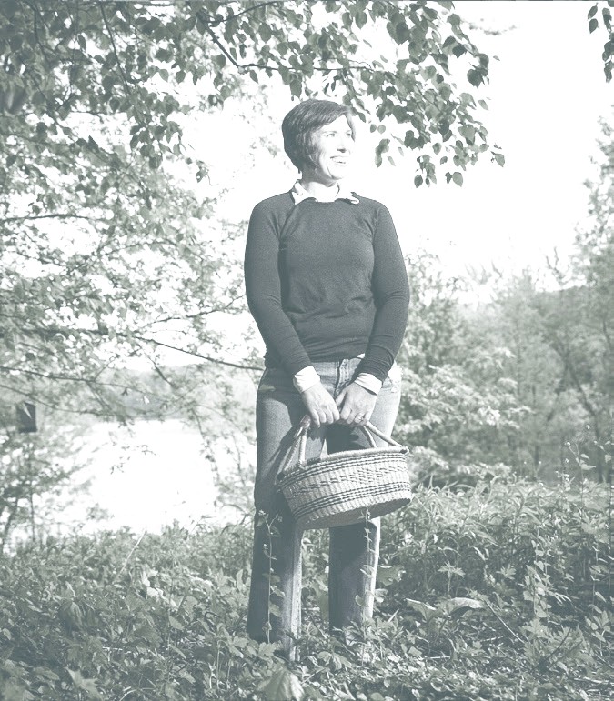Foraging in New England
