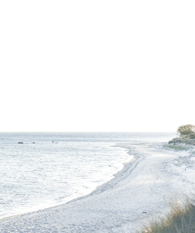 New England coastline