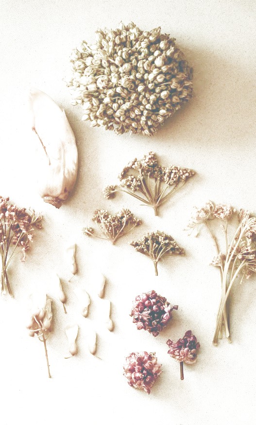 Dried botanicals