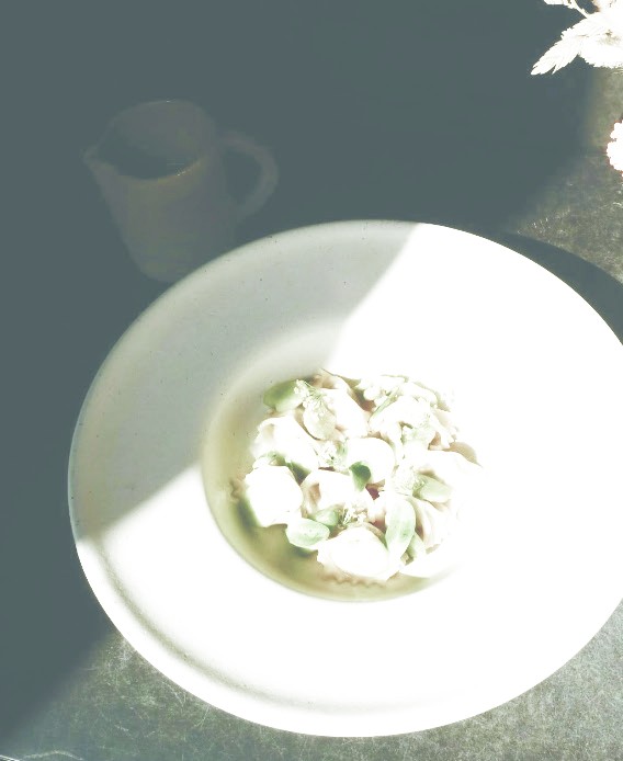 Pasta in broth